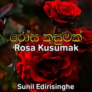 收聽Sunil Edirisinghe的Sadakalika Nowu歌詞歌曲