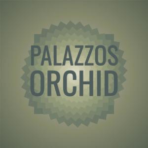 Album Palazzos Orchid oleh Various Artists