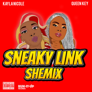 收聽Kayla Nicole的Sneaky Link Shemix (Explicit)歌詞歌曲