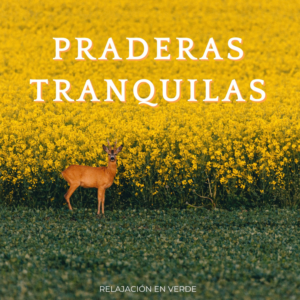 Paz De La Noche Eterna