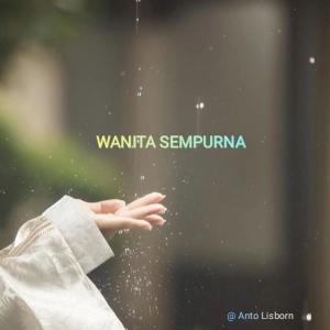 Listen to Wanita Sempurna song with lyrics from Anto lisborn