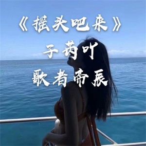 子芮吖的专辑摇头吧来