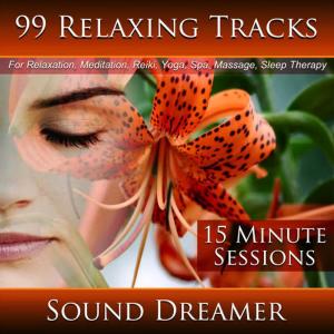 收聽Sound Dreamer的Campfire and Birds - 15 Minute Session歌詞歌曲