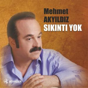 ดาวน์โหลดและฟังเพลง Ben Elli Sen Yirmibeş พร้อมเนื้อเพลงจาก Mehmet Akyıldız