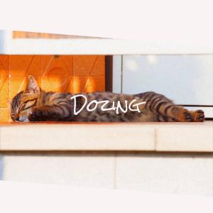 Listen to Destiny song with lyrics from Rosis Romi