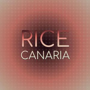 Listen to Estrella Tierra song with lyrics from Lahna Raslen