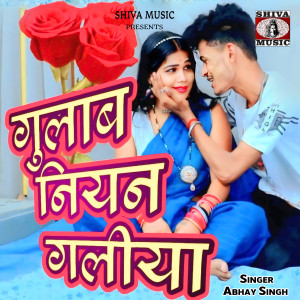 Album Gulab Niyan Galiya from 