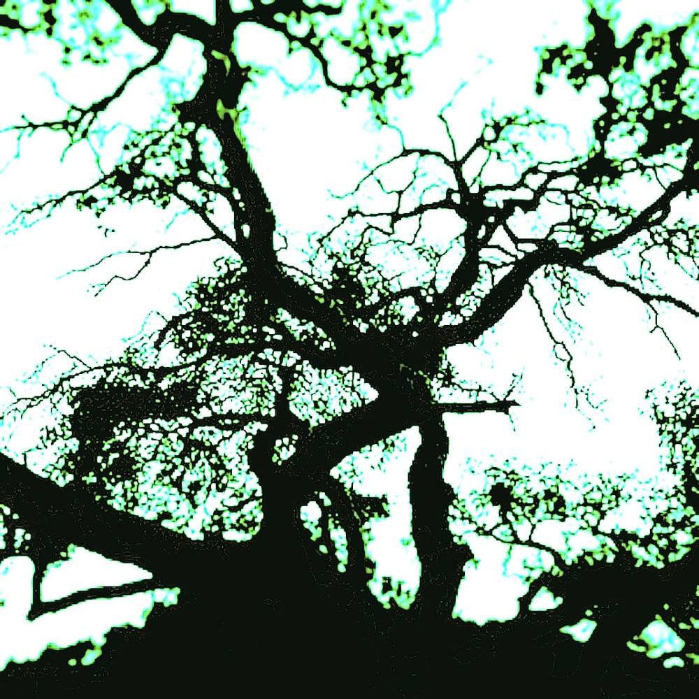 Beautiful Melancholy (feat. Eve Nelson)