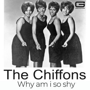 Album The Chiffons Why am i so shy from THE CHIFFONS