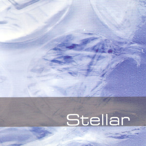 Listen to Migration Instinct song with lyrics from Stellar*