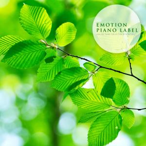 Dengarkan Season Of Memories Nature Version (Nature Ver.) lagu dari Yellow Ribbon dengan lirik