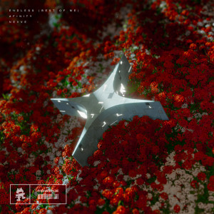 Album Endless (Best of Me) from Afinity