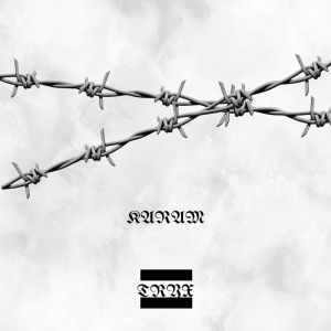 Listen to MURDAGHAR (Explicit) song with lyrics from Tryx