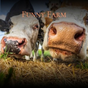 Dengarkan lagu Funny Farm nyanyian DJ Freak dengan lirik