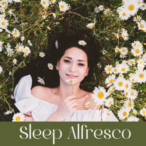 Sleep Alfresco (Peaceful Nature Oasis for Safe and Deep Sleep)