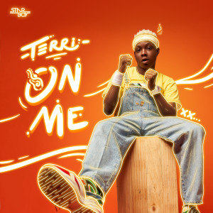 ดาวน์โหลดและฟังเพลง On Me พร้อมเนื้อเพลงจาก Terri