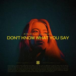 donatello.的專輯Don't Know What You Say (Afro House)