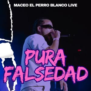 收聽maceo el perro blanco live的pura falsedad (live)歌詞歌曲