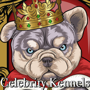 Listen to Nothing 4 the Gram (Explicit) song with lyrics from Celebrity Kennels