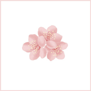 收聽Chevy的Sweet Boi (Single Version)歌詞歌曲
