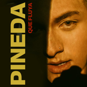 ดาวน์โหลดและฟังเพลง Que Fluya พร้อมเนื้อเพลงจาก Pineda