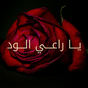 default album img