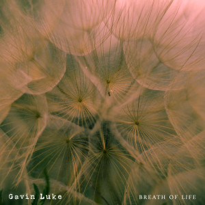 收聽Gavin Luke的Breath Of Life歌詞歌曲