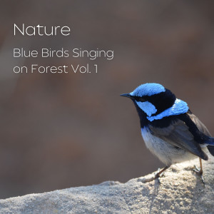 อัลบัม Nature: Blue Birds Singing on Forest Vol. 1 ศิลปิน Forest Sounds