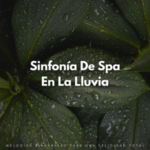 Grabaciones binaurales ritmos的專輯Sinfonía De Spa En La Lluvia: Melodías Binaurales Para Una Felicidad Total