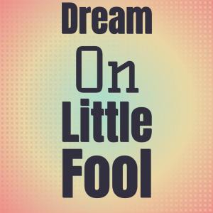 收听Debbie Woods的Dream On Little Fool歌词歌曲