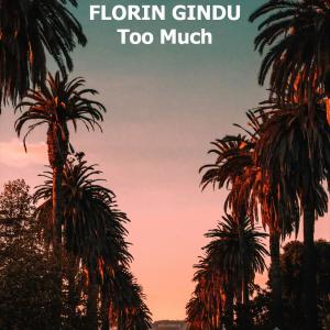 Album Too Much from Florin Gindu