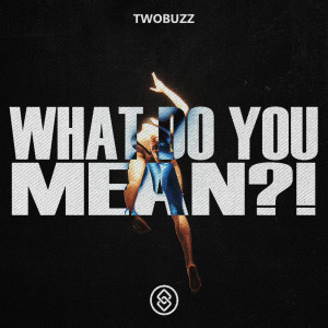 TWOBUZZ的专辑What Do You Mean?!