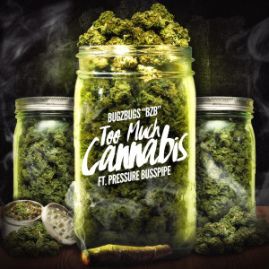 收聽BugZbugs "BZB"的Too Much Cannabis (Explicit)歌詞歌曲