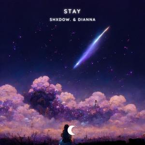 Album Stay from 