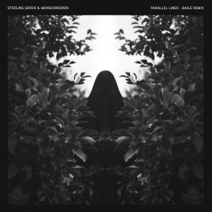 ดาวน์โหลดและฟังเพลง Parallel Lines (BAILE Remix) พร้อมเนื้อเพลงจาก Sterling Grove