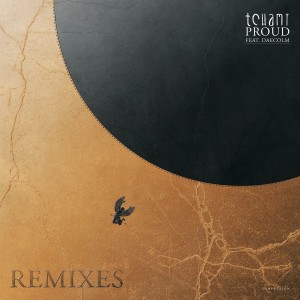 Album Proud (Remixes) from Daecolm