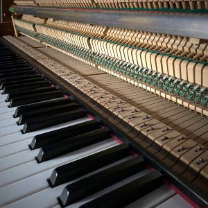 Album Strolling Through the Rain from Peter Plate