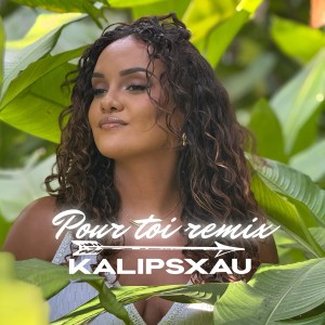 Listen to POUR TOI (Remix) song with lyrics from Kalipsxau