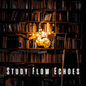 Study Flow Echoes: Ambient Sounds with Chill Lofi Music