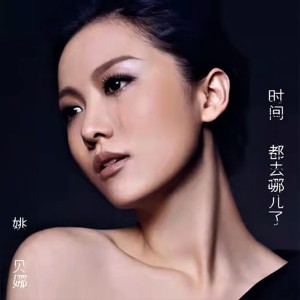 收聽姚貝娜的時間都去哪兒了歌詞歌曲