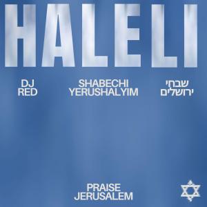 收聽DJ Red的Haleli歌詞歌曲