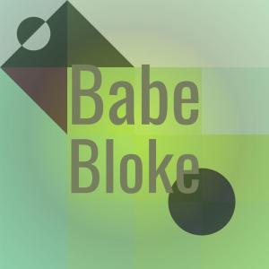 Various Artists的專輯Babe Bloke