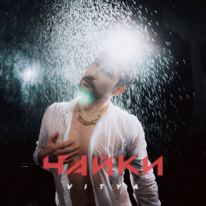 Album Чайки from 