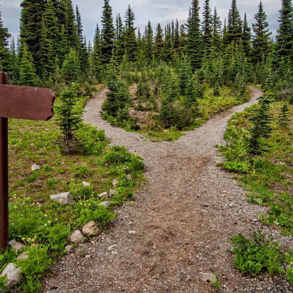 Following the Path (Explicit)