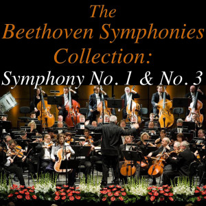 Dengarkan Symphony No. 3 in E Flat Major, Op. 55: Allegro molto lagu dari Novosibirsk Philharmonic Orchestra dengan lirik