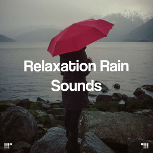 !!!" Relaxation Rain Sounds "!!! dari Meditation Rain Sounds