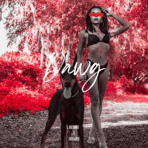 thevillain267的專輯Dawg (feat. Krazy Kiebii)