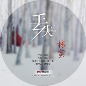 Listen to 丢失 (伴奏) song with lyrics from 林宝