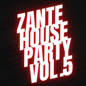 Various Artists的專輯Zante House Party Vol.5