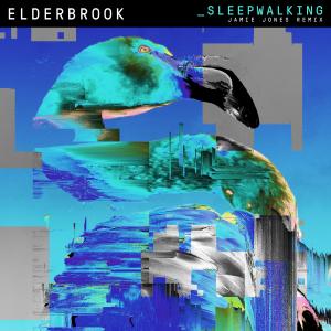 ดาวน์โหลดและฟังเพลง Sleepwalking (Jamie Jones Remix) พร้อมเนื้อเพลงจาก Elderbrook
